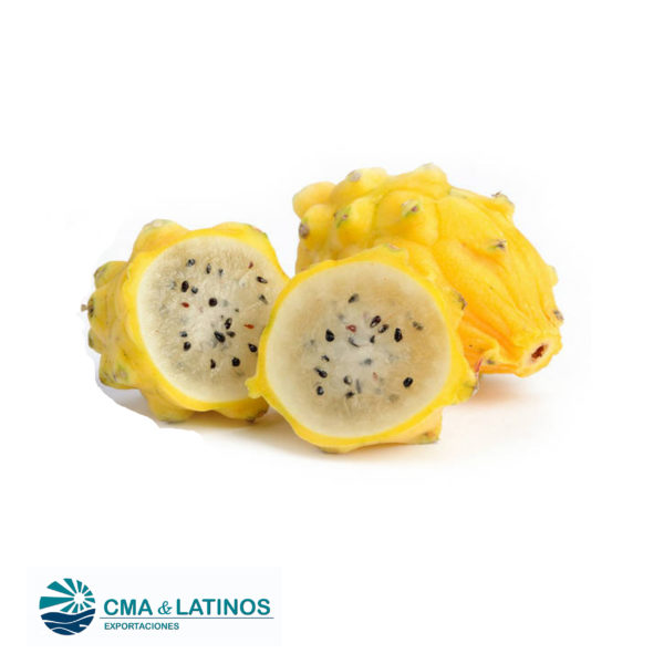 Pitaya Fresca