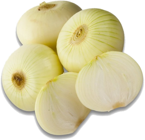 Cebolla Cabezona Blanca. 2